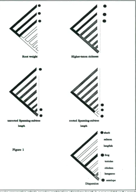 Figure 1•frog