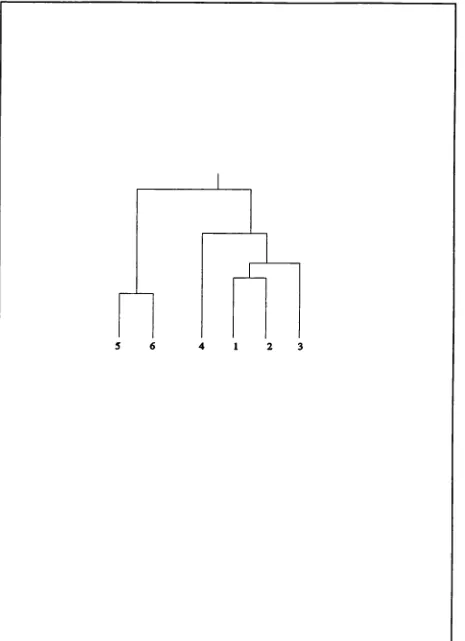 Figure 3 An hypothetical taxonomic tree for six related species.