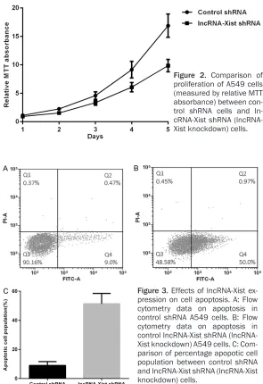 Figure 2. Comparison of proliferation of A549 cells 