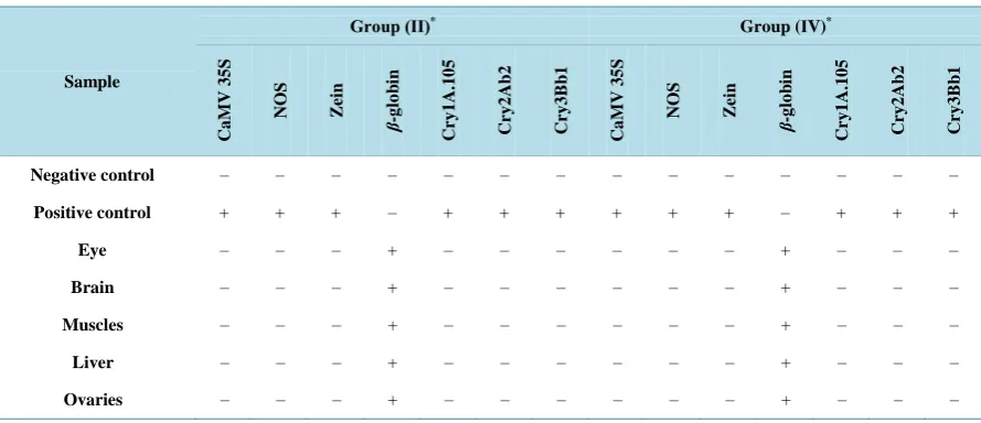 Table 3. Results of PCR reactions for the presence of CaMV 35S promoter, NOS terminator, specific genes—β-globin as housekeeping gene for zebrafish tissues, Cry1A.105 gene specific for GM corn MON89034, Cry2Ab2 gene specific for GM corn event MON89034 and 