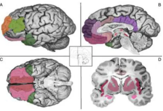 Figure 1. The constructivist model of emotion generation. 