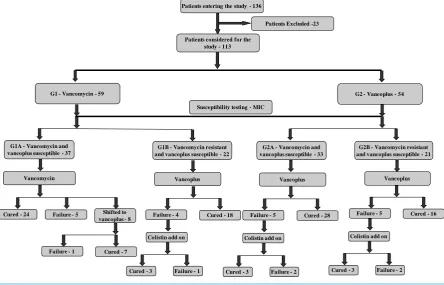 Figure 1. Overview of the study design.                                                                               