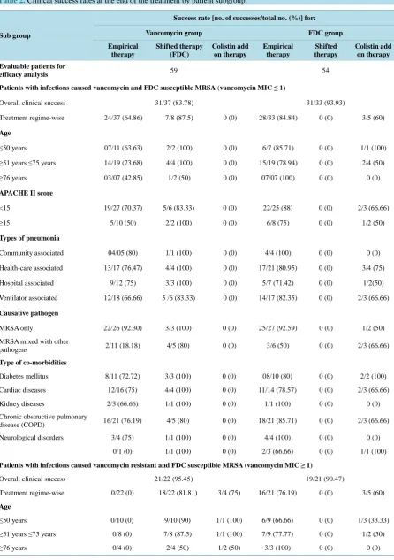 Table 2. Clinical success rates at the end of the treatment by patient subgroup.                                             