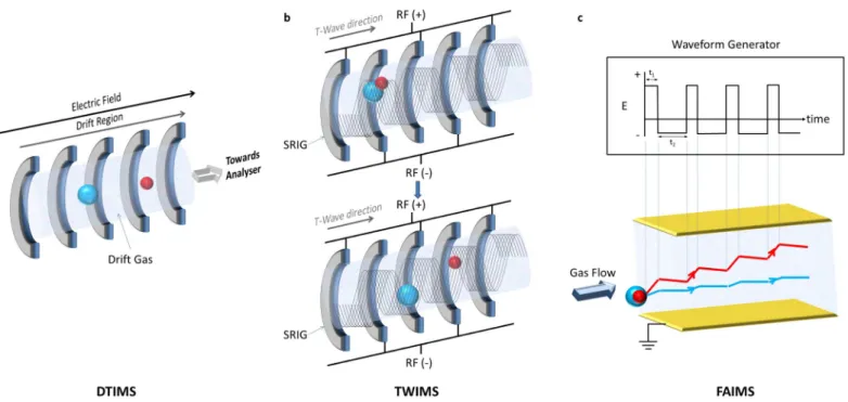 Figure 2 Schematic diagrams of the major types of IM device.  Small ions are in red, large ions are in blue