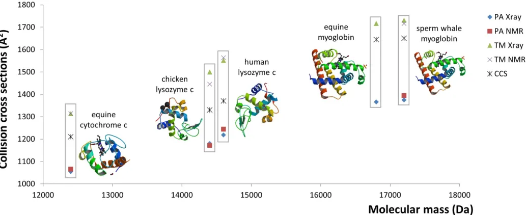 Figure 4 Comparison of experimentally estimated collision cross sections (Å 2 ) (CCS) of five protein standards