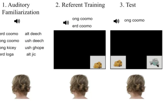 Figure 1. A schematic of the three phases of the experimental procedure.