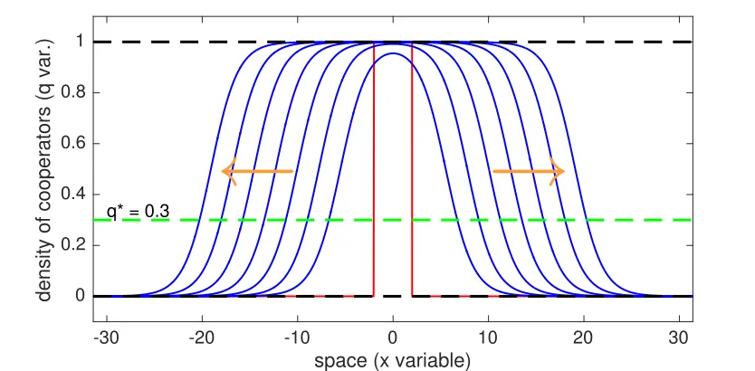Figure 5:Qualitative illustration of the dynamics of the endogenous institution when coop-erators are able to invade