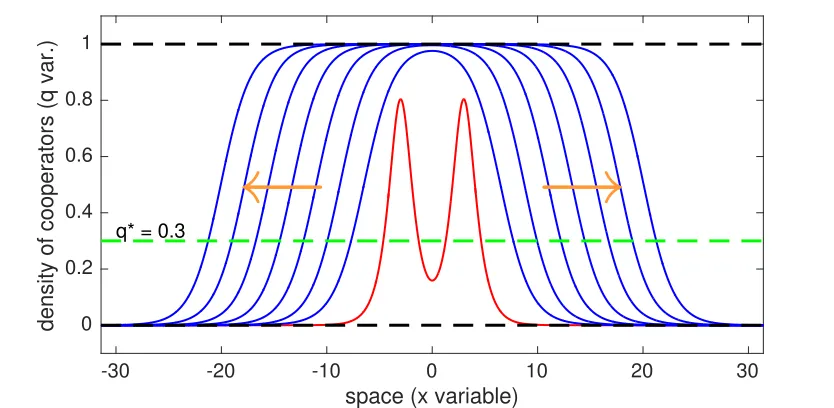 Figure 8: This ﬁgure compares the case where the level of the institution is exogenouslysettled at ρ∗ to the case where the population can decide endogenously the degree of socialsegmentation associated to the institution, ρ(α).