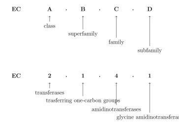 Figure 1.8: Enzyme Classiﬁcation number.