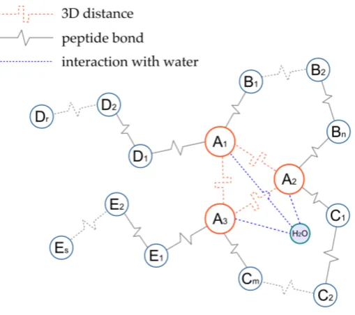 Figure 2.1: Active site schematisation.