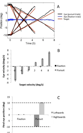 Figure 2. Oculomotor behavior in the position extrapolation task. (A) Eye position versus time in the fixation and pursuit conditions.(B) Eye velocity versus target velocity in the fixation and pursuit conditions