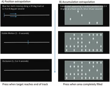 Figure 1.Position and Accumulation extrapolation tasks. (A) Position extrapolation task