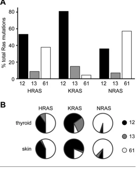 Figure 3RAS isoform codon mutation bias in human cancers