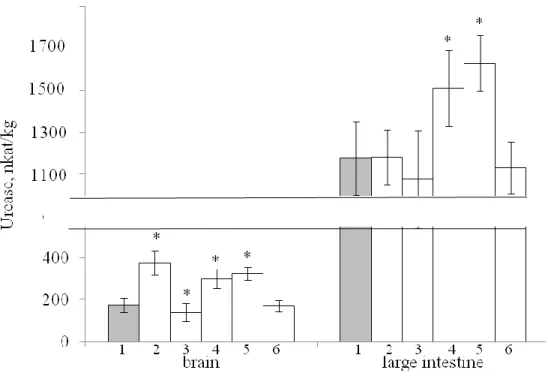 Fig. 2. Effect of HFD on urease activity in organs and tissues of rats  (1-6 ‒ see Fig