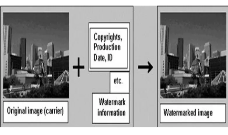 Fig 2.1 Digital water mark 