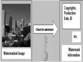 Fig 2.2 Detected Digital Water Mark Image  2.3 STREAM CIPHER—Method for transferring medical images  The general method 
