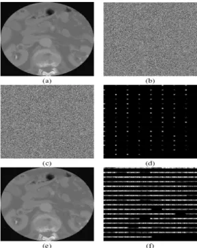 Figure 5: a) Original medical image, b) Encrypted image, c) Watermarked encrypted  image with the 128-bit key,d) Difference between the encrypted image and the watermarked  encrypted image, f) Difference between images, e) Decryption of the watermarked ori