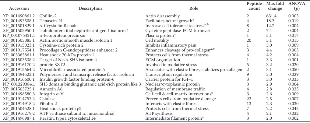 FIGURE 5. Gene expression of KRT5 and KRT75 in normal young and old tendon. Data are represented as 2 �Ct (2ˆ-DCT) compared with GAPDH.Histograms represent the means � S.E