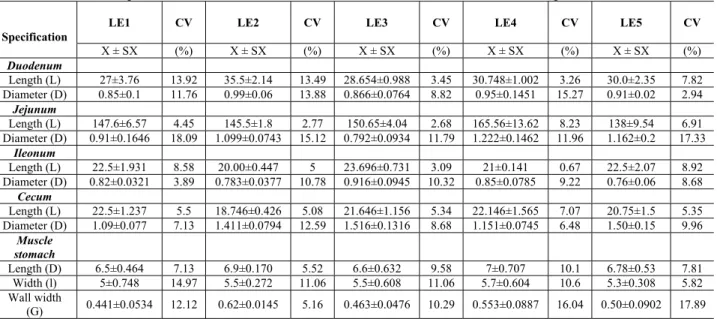 Table 4. Main parameters of intestine evolution in the broiler chickens used for the experimental variants 