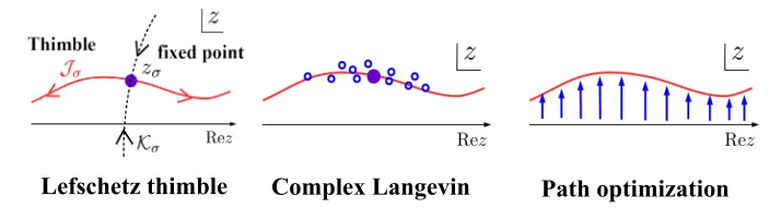 Figure 1. Integral path and distribution of samples in LTM, CLM and POM.