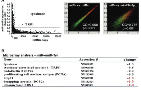 Figure 7 Human genome microarray analyses (Affymetrix human GeneChip U133A&B, CA) of altered gene expression patterns in the human primary skin cell cultures with or without miR-Tyr transfection