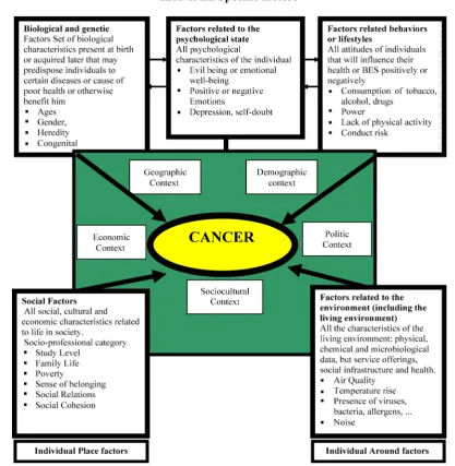 Figure 1. Conceptual framework amount the various determinants of cancer in Morocco. 