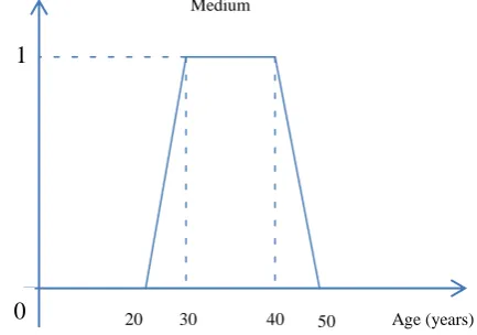 Figure 1: Linguistic label for the concept “Medium” 