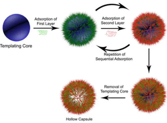 Figure 1. Scheme of the polyelectrolyte capsule formation (from Master Thesis of Simona-Vyara Kolarova, 