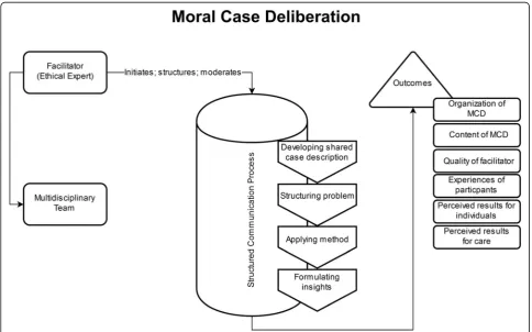 Fig. 3 Structure, process and outcome criteria for CESS adapted from Fox (1996) [19