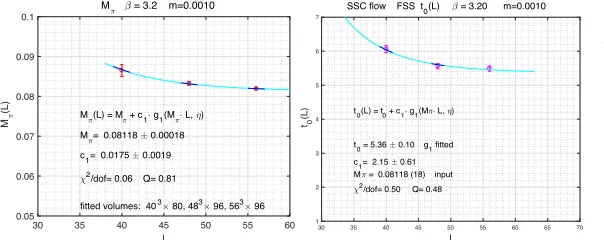 Figure 1. (left) The gradientﬂow renormalized coupling
