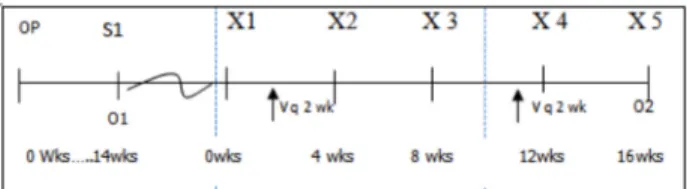 Fig 1. Research design