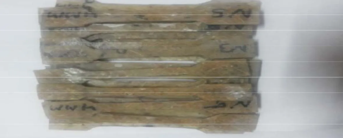 Figure 2: Samples prepared for tensile test    