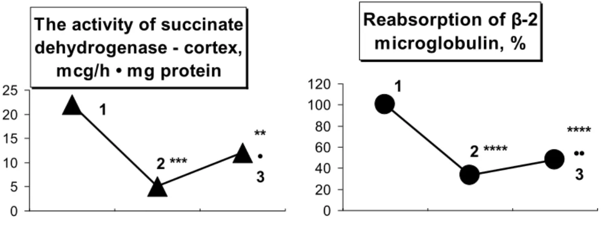 Fig. 3. The effect of water load of negative (-232.0±25.12 mV) redox potential on the activity  of succinate dehydrogenase in the cortical substance of the kidneys and reabsorption of β - 
