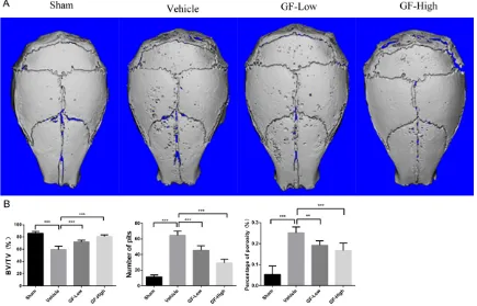 Figure 1. Comparison of bone destruction at day 14 after surgery. A. Representative micro-CT scanning images of PE particle-induced calvarial osteolysis in each group