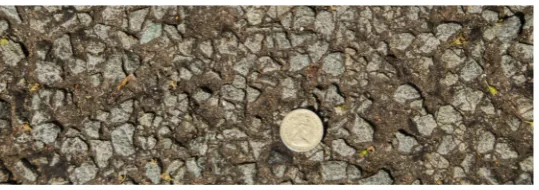 Figure 5 Photograph showing a worn road surface with aggregate raised above the bitumen matrix