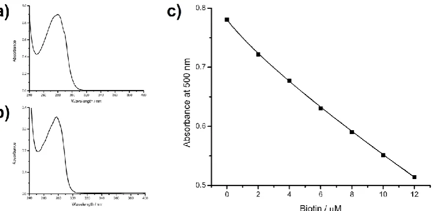 Figure S1 a) UV/vis spectrum of biotin-PEG-thrombin. b) UV/vis spectrum of biotin-PEG-HSA
