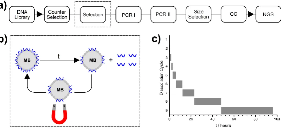 Figure 2 a)  Scheme of single step selection. Key: size selection = preparative electrophoresis; QC = quality control; NGS = next generation sequencing