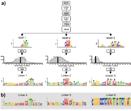 Figure 3 a) Motif finding informatics as applied to DNA retained on the beads in single-step selection