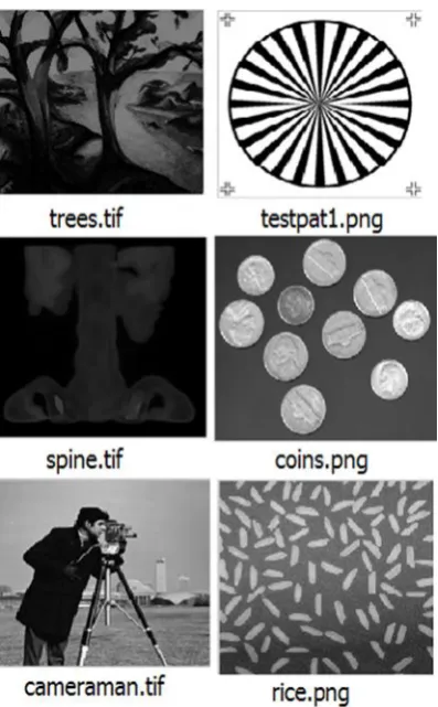 Fig. 1: Sample of data base for gray scale image use in this work . 