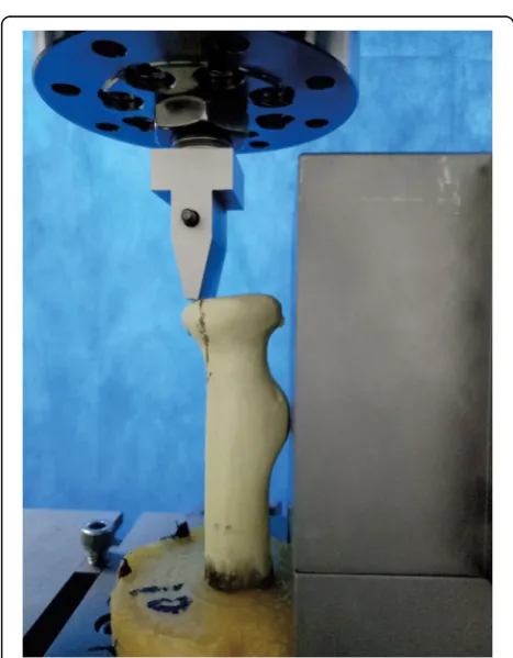 Fig. 4 Comparison the axial stiffness of 24 specimens betweenconvergent group, parallel group, and divergent group