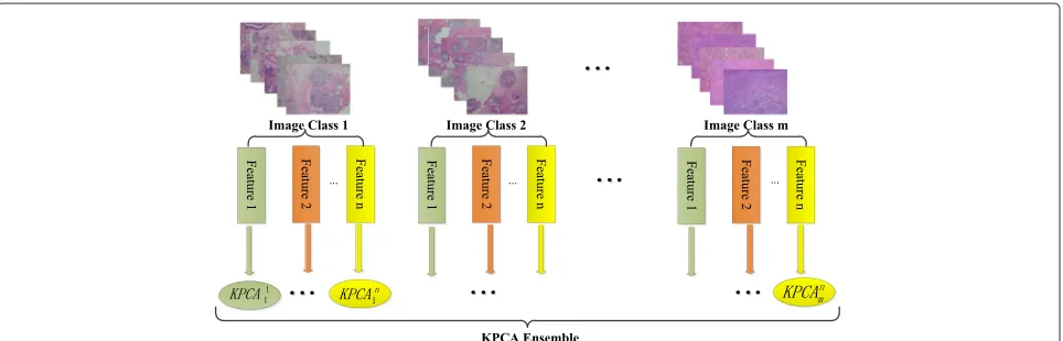 Figure 2 Construction of one-class KPCA ensemble from different image feature sets. KPCAji represents the KPCA model trained from the jthimage feature of class i.