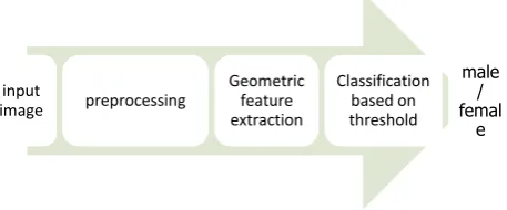 Figure 1: Steps for Gender Classification 