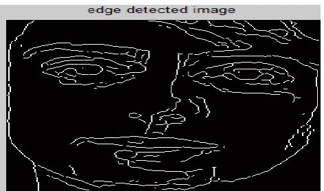 Figure 2: Input Image for Edge Detection 
