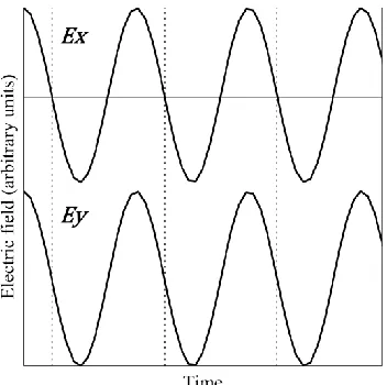 Figure 1.13: Plot showing the time dependence of the components    and    of an electric field vector     representing a circularly polarized ray of light