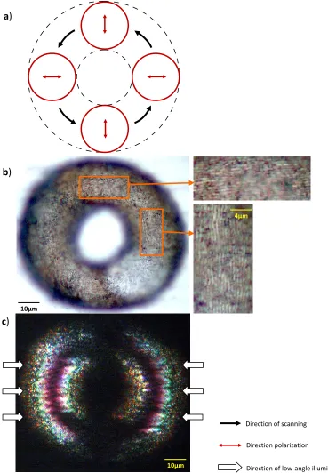 Figure 2.5: (a)  Schematic showing the laser beam scanning path (black arrows). The direction of polarization in each region of the beam path is also shown (red arrows)