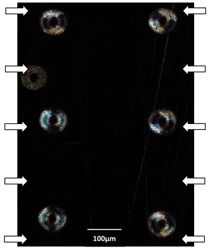 Figure 2.6: Optical micrograph showing several circular laser beam tracks under low-angle side illumination (white arrows)