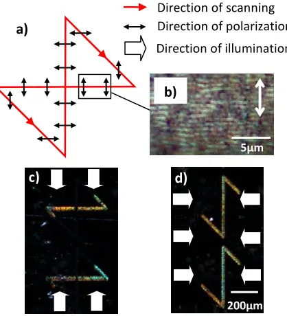 Figure 3.3: (a) Programmed laser beam path showing the expected state of polarization for each region