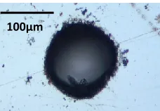 Figure 3.5: Optical micrograph of the hole entrance. The shape of the hole does not depend on polarization