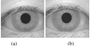 Fig 1: Images obtained from CASIA dataset  