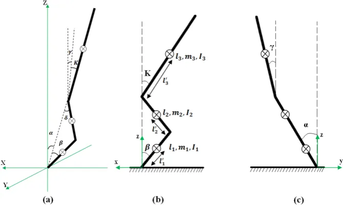 Figure 1. Three-link human body dynamics model: (a) three-dimensional view; (b) projection on sagittal plane; (c) projection on coronal plane